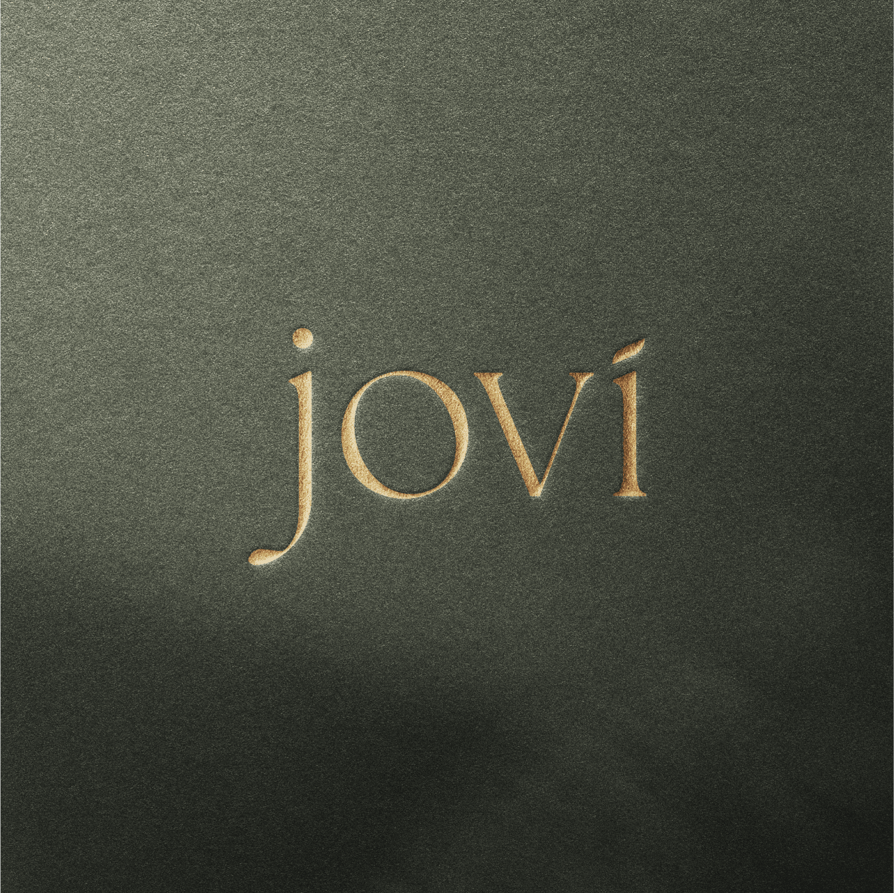 Novo projeto: branding e naming da Joví